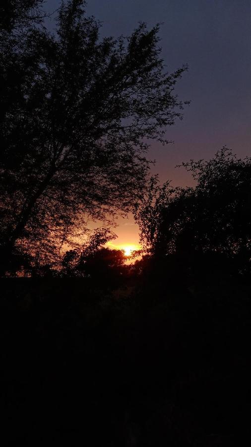 Vrinda Homestay Vrindāvan Dış mekan fotoğraf